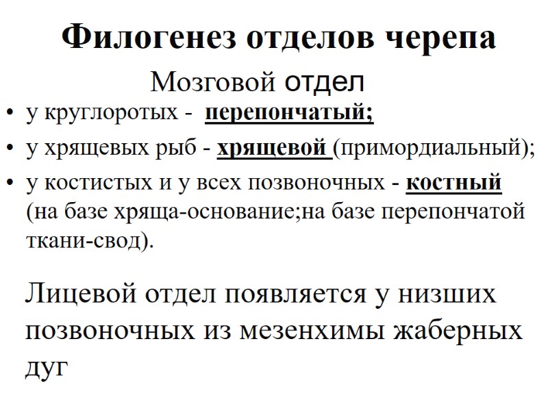 Филогенез отделов черепа у круглоротых -  перепончатый; у хрящевых рыб - хрящевой (примордиальный);